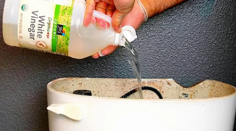 Pour Vinegar in Your Toilet and Watch What Happens